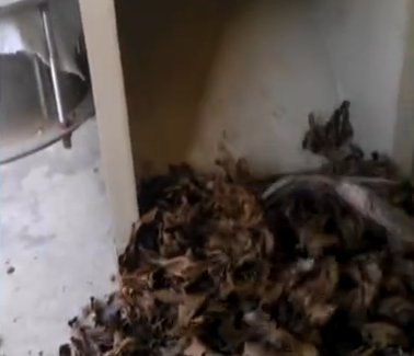 ����ե�͙C(j��)